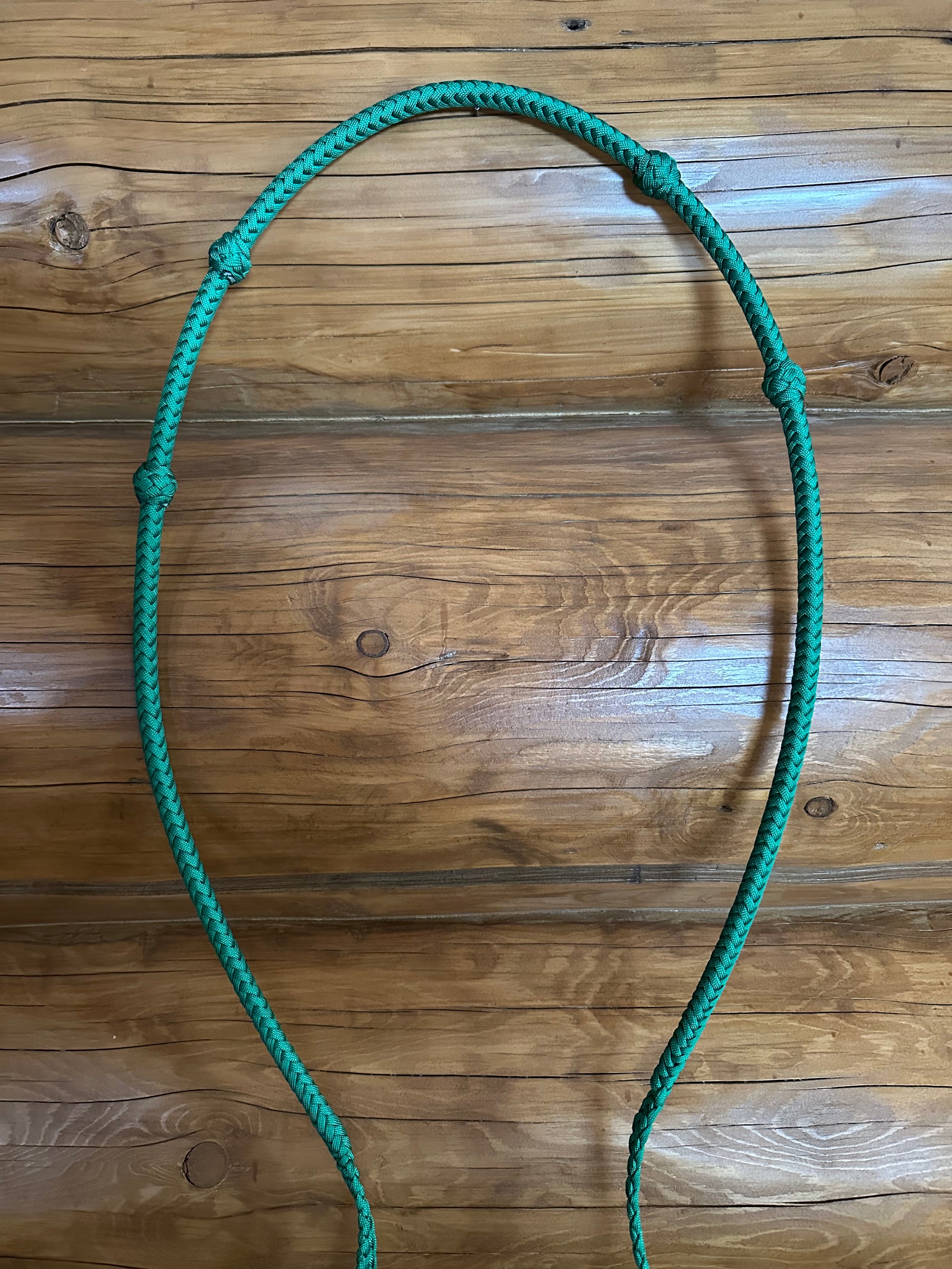 EquiBalance Reins