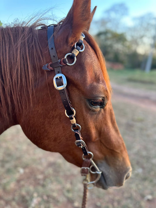 Brazilian Ring Headstalls