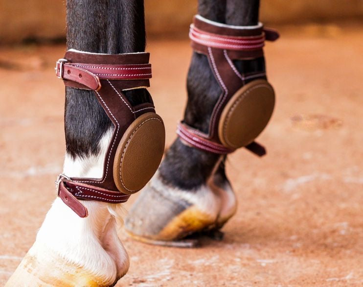 Leather Skid Boots - Canada