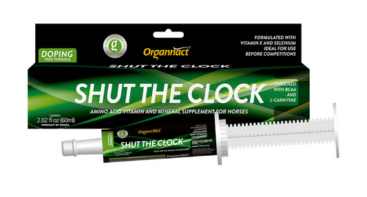 Shut The Clock