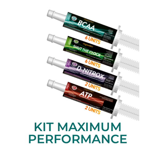 Maximum Performe Kit