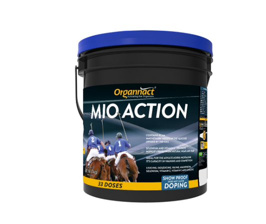 Mio Action