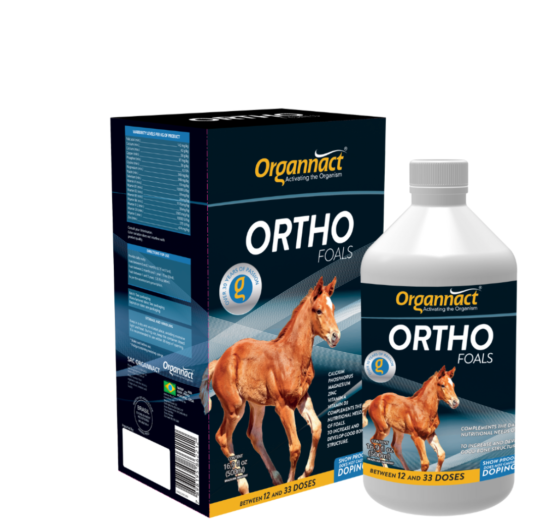 Ortho Foals
