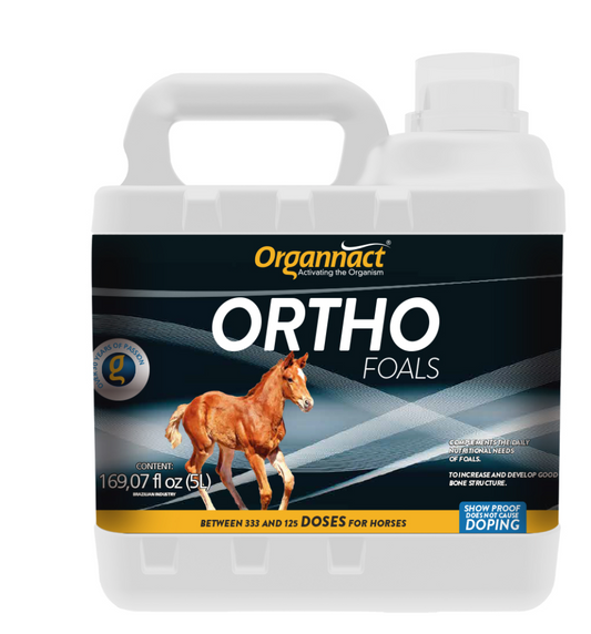 Ortho Foals