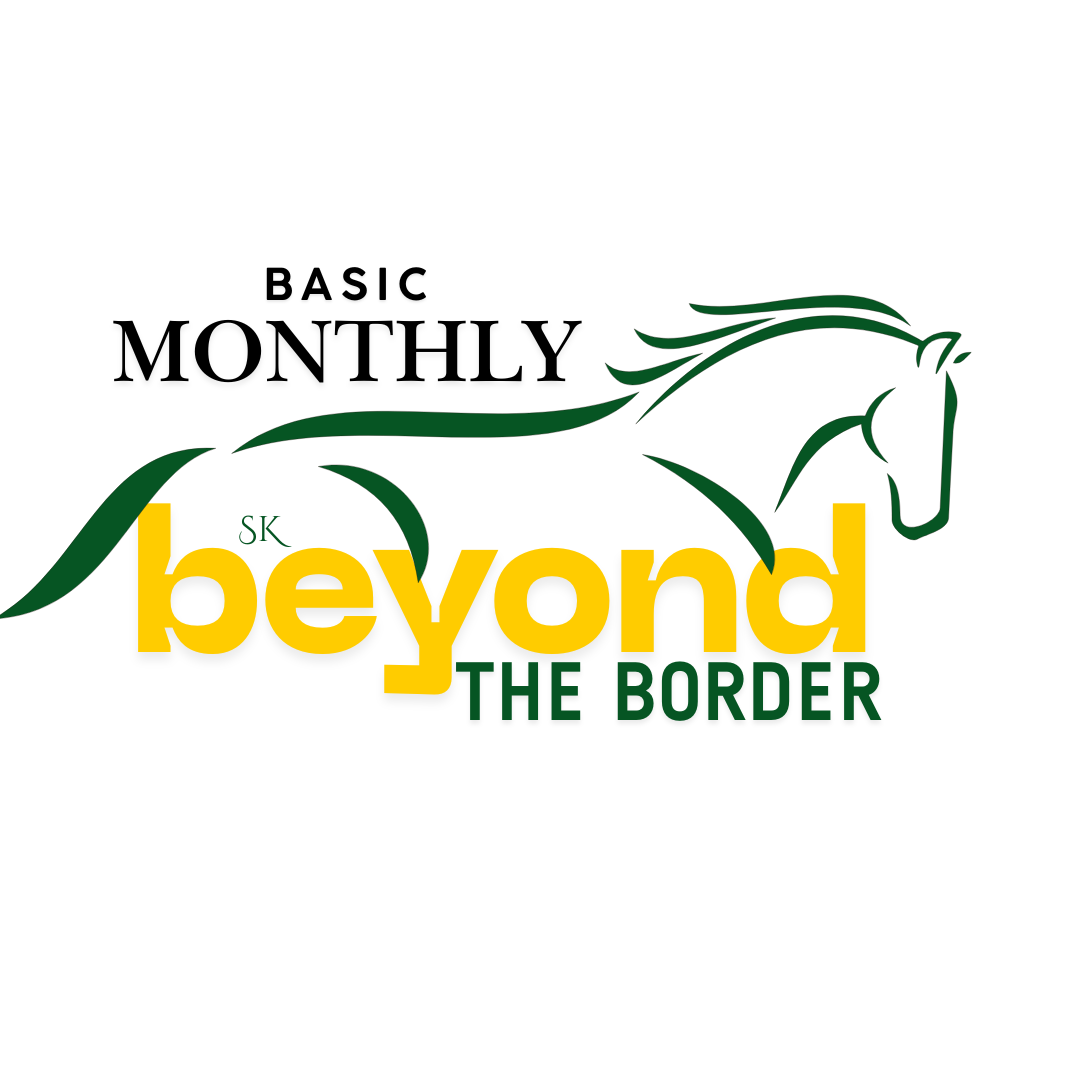 BASIC MONTHLY VIDEO SUBSCRIPTION