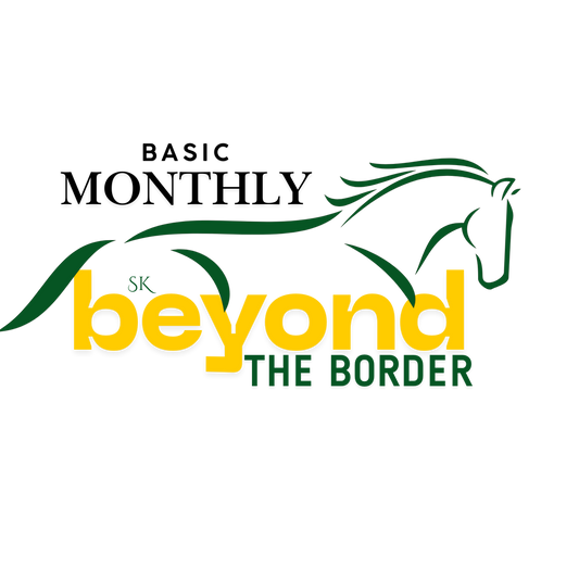 BASIC MONTHLY VIDEO SUBSCRIPTION